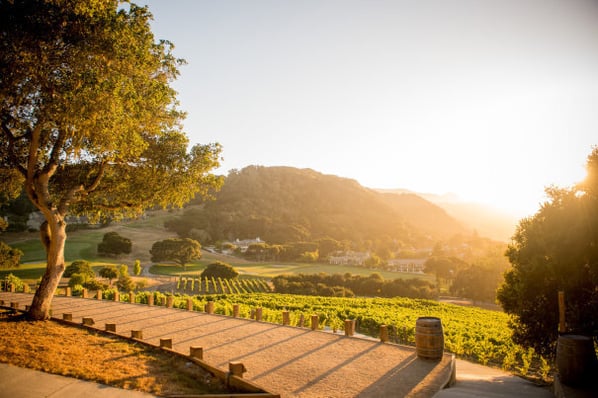 Virtuosi LEAP CMO Forum Location - Carmel Valley Ranch CA