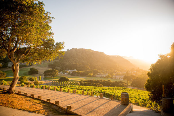 Carmel-Valley-Ranch_Property_Harvest-Landing_vineyard_twilight-31be74905056a36_31be776b-5056-a36a-0aec19617b3044c7