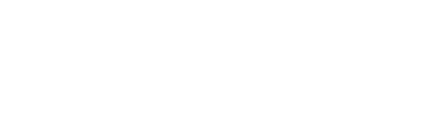 VLVoices_logowhite
